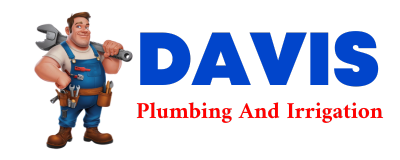 Trusted plumber in EUSTIS